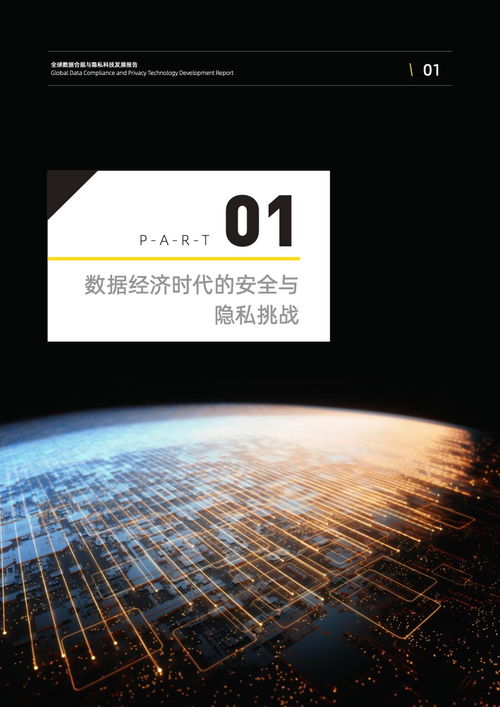 2022全球數(shù)據(jù)合規(guī)與隱私科技發(fā)展報告—技術開發(fā)篇