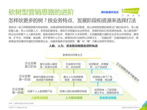 網絡服務新時代 互聯網數據中心與199it如何重塑數據服務生態