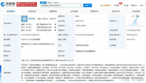 青瓷游戲成都新設公司，深化布局互聯網數據服務
